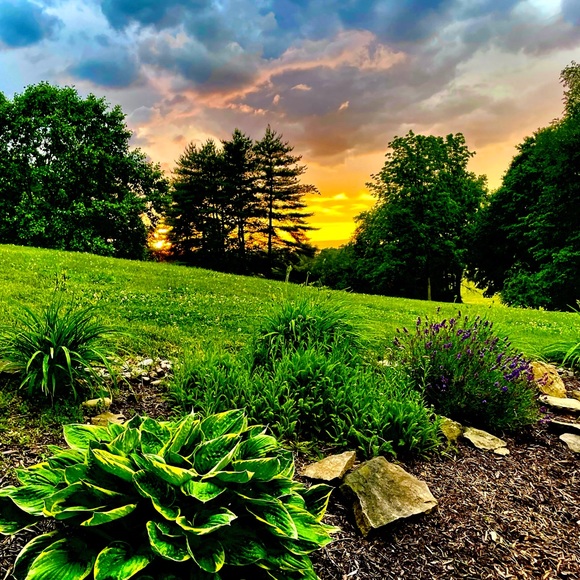 Meet your Posher, Sarah - Picture 7 of 7